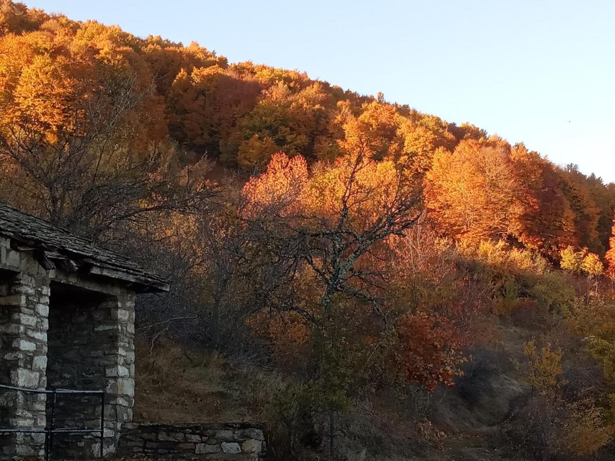Guesthouse Kontogianni - Materka Nimfaíon Exteriör bild